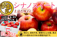  訳あり りんご シナノスイート 約5kg 2025年 令和7年度発送分 リンゴ 林檎 長野 フルーツ 果物 信州産 長野県産 特産 産地直送 家庭用 おすすめ 　[№5675-1143]