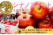 訳あり りんご シナノスイート 約5kg 2025年 令和7年度発送分 リンゴ 林檎 長野 フルーツ 果物 信州産 長野県産 特産 産地直送 家庭用 おすすめ 　[№5675-1143]