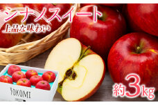  りんご シナノスイート 約3kg 2025年 令和7年度発送分 リンゴ 林檎 長野 フルーツ 果物 信州産 長野県産 特産 産地直送 家庭用 おすすめ 　[№5675-1142]