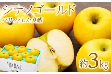 【2025年/令和7年度発送分！】パリッとした食感の シナノゴールド 約3kg りんご リンゴ 林檎 長野 フルーツ 果物 信州産 長野県産 特産 産地直送 おすすめ 　[№5675-1145]