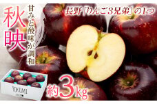 【2025年/令和7年度発送分！】信州のりんご 秋映 約3kg りんご リンゴ 林檎 長野 フルーツ 果物 信州産 長野県産 特産 産地直送 おすすめ 　[№5675-1147]