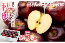 【2025年/令和7年度発送分！】信州のりんご 秋映 約5kg りんご リンゴ 林檎 長野 フルーツ 果物 信州産 長野県産 特産 産地直送 おすすめ 　[№5675-1148]
