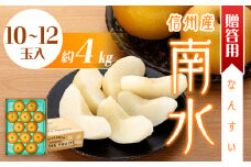 贈答用 梨 南水 4kg 10～12玉 なし ナシ 果物 くだもの フルーツ 旬の果物 旬のフルーツ ギフト 贈り物 プレゼント 信州 長野 長野県 ※オンライン決済限定 [№5675-1184]