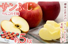 【2025年/令和7年度発送分 】信州のりんご サンふじ 約 5kg りんご リンゴ 林檎 長野 フルーツ 果物 信州産 長野県産 特産 産地直送 おすすめ 　[№5675-1192]