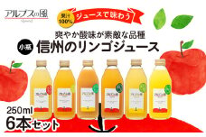 果汁100％ジュースで味わう 爽やか酸味が素敵な品種 リンゴジュース 小瓶 6本 セット 詰め合わせ ジュースで味わう信州のリンゴ 酸味爽やか りんご 林檎 アップル アップルジュース 無添加 飲料 飲料類 甘い 濃厚 長野 長野県[№5675-1198]