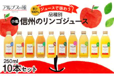 果汁100％ジュースで味わう 品種別 リンゴジュース 小瓶 10本 セット リンゴ 人参 ミックスジュース 信州 小瓶 りんご品種別に搾った こだわりジュース 甘い 豊饒な香り 酸味 爽やか 濃厚 詰め合わせ [№5675-1200]