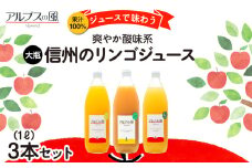 果汁100％ジュースで味わう 信州のリンゴ 爽やか酸味系 大瓶 3本 セット 詰め合わせ ジュースで味わう信州のリンゴ 爽やか酸味 リンゴ りんご 林檎 アップル アップルジュース 無添加 飲料 飲料類 甘い 豊饒な香り 濃厚 長野 長野県 信州 こだわり 果汁 希少[№5675-1207]