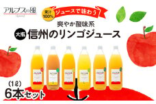 果汁100％ジュースで味わう 信州のリンゴ 爽やか酸味系 大瓶 6本 セット 詰め合わせ りんご 林檎 アップル アップルジュース ミックスジュース 無添加 飲料 飲料類 甘い 濃厚 長野 長野県[№5675-1209]