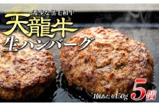 【希少な黒毛和牛】天龍牛生ハンバーグ150g×5個 ハンバーグ 天龍牛 黒毛和牛 長野県産 信州産 お肉 国産 希少　[№5675-1222] 