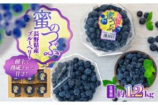 上伊那産ブルーベリー（200g×6袋）　[№5675-1237]