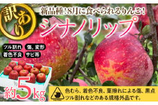  訳あり りんご シナノリップ 約5kg 2025年 令和7年度発送分 リンゴ 林檎 長野 フルーツ 果物 信州産 長野県産 特産 産地直送 家庭用 おすすめ 　[№5675-1141]