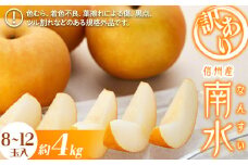訳あり 梨 南水 4kg 8～12玉 南水梨 なし ナシ 傷 キズ 果物 くだもの フルーツ 旬の果物 旬のフルーツ 家庭用 訳アリ 信州 長野 長野県 [№5675-1281]