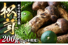 松茸 200g 2～3本程度 箕輪町産 秋の味覚 まつたけ マツタケ きのこ キノコ 旬の野菜 信州 長野 長野県 [№5675-1283]