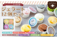 ジェラート 12個 セット 詰め合わせ ジェラテリア宮本屋厳選 アイス シャーベット ジェラテリア宮本屋 砂糖控えめ ヘルシー 信州牛乳 りんご いちご 黒ごま チョコレート ラムレーズン 抹茶 宇治 マンゴーミルク アルフォンソマンゴー [№5675-1325]