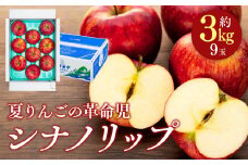 シナノリップ　約3kg（9玉）　[№5675-1340]