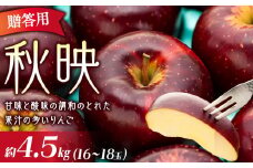贈答用 りんご 秋映 4.5kg 16～18玉 林檎 リンゴ 果物 くだもの フルーツ 旬の果物 旬のフルーツ ギフト 贈り物 プレゼント 信州 長野 長野県 [№5675-1341]