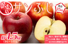 訳あり りんご サンふじ 4.5kg 16～18玉 林檎 リンゴ サンフジ さんふじ 傷 キズ 果物 くだもの フルーツ 旬の果物 旬のフルーツ 家庭用 訳アリ 信州 長野 長野県　[№5675-1342]