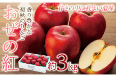 りんご おぜの紅 3kg 2025年 令和7年度発送分 リンゴ 林檎 長野 フルーツ 果物 果物類 信州産 長野県産 特産 産地直送 おすすめ 旬の果物 旬のフルーツ 初秋のりんご 食後 デザート 食べ物 食品	[№5675-1359]