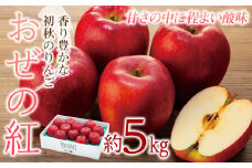 りんご 長野 おぜの紅 5kg フルーツ 果物 秋 旬 初秋 旬のフルーツ 旬の果物 産地直送 信州 長野県産 特産品 おやつ デザート スイーツ リンゴ 林檎 長野県 2025 2025年 令和7年度発送分[№5675-1360]