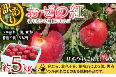 りんご 訳あり  おぜの紅 約5kg  2025年 令和7年度発送分 リンゴ 林檎 長野 フルーツ 果物 果物類 信州産 長野県産 特産 産地直送 おすすめ 旬の果物 旬のフルーツ 初秋のりんご 食後 デザート 食べ物 食品 　[№5675-1361]