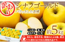 訳あり りんご 5kg  2025年 令和7年度 発送分！ シナノゴールド パリッとした食感 林檎 リンゴ 傷 キズ 果物 くだもの フルーツ 旬の果物 旬のフルーツ 家庭用 訳アリ 信州 長野 長野県 　[№5675-1363]