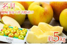  りんご 名月 5kg 2025年 令和7年発送 酸味が少なく甘さが際立つおいしいりんご 林檎 リンゴ 果物 くだもの フルーツ 旬の果物 旬のフルーツ 信州 長野 長野県 　[№5675-1365]