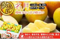 訳あり りんご 5kg  2025年 令和7年度 発送分！ 名月 酸味が少なく甘さが際立つおいしいりんご 林檎 リンゴ 傷 キズ 果物 くだもの フルーツ 旬の果物 旬のフルーツ 家庭用 訳アリ 信州 長野 長野県 　[№5675-1366]