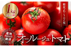 トマト 長野 オールージュトマト 1kg 野菜 夏野菜 夏 旬 旬野菜 甘い 国産 ビタミン ミネラル 抗酸化 リコピン 美容 健康 フルーツトマト フルーツ 長野県産 長野県 箕輪町[№5675-1390]