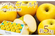  りんご シナノゴールド 5kg 2025年 令和7年発送 完熟りんご パリッとした食感 林檎 リンゴ 果物 くだもの フルーツ 旬の果物 旬のフルーツ 信州 長野 長野県 　[№5675-0391]