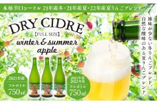 シードル 2021年産夏 2021年産冬 2022年産夏 3本 詰め合わせ セット フルボトル 飲み比べ アップルシードル 辛口 りんご 夏リンゴ フルーツ 果物 お酒 酒 果実酒 アルコール 家飲み ギフト プレゼント 贈答 贈り物 お祝い 長野 長野県 箕輪町　[№5675-1419]