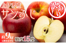 訳あり 先行予約 りんご サンふじ 選べる 4.5kg 9kg フルーツ 果物 傷 規格外 秋 冬 旬 旬のフルーツ 旬の果物 産地直送 信州 長野県産 おやつ デザート スイーツ リンゴ 長野県 2024 2024年 令和6年度発送分　[№5675-1435]