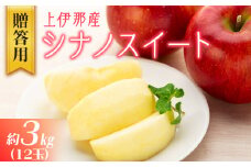 【贈答用】上伊那産シナノスイート約3kg（12玉）　[№5675-1436]