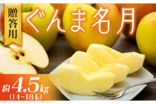 りんご ぐんま名月 4.5kg 14～18玉 贈答用 果物 くだもの フル−ツ 林檎 リンゴ ぐんま名月りんご 信州りんご 旬の果物 旬のフルーツ ギフト 贈り物 プレゼント 長野 長野県 箕輪町　[№5675-1438]