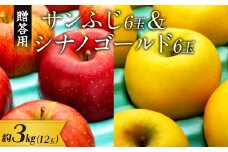 【贈答用】りんご 長野 サンふじ6玉&シナノゴールド6玉　 約3kg （12玉）　[№5675-1437]