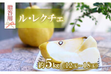 洋梨 ル・レクチェ 5kg 12～18玉 贈答用 果物 くだもの フルーツ 洋なし 洋ナシ ラフランス ラ・フランス ルレクチェ 旬の果物 旬のフルーツ ギフト 贈り物 プレゼント 長野 長野県 箕輪町　[№5675-1439]
