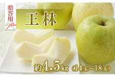 りんご 王林 4.5kg 14～18玉 贈答用 果物 くだもの フル−ツ 林檎 リンゴ 王林りんご 信州りんご 旬の果物 旬のフルーツ ギフト 贈り物 プレゼント 長野 長野県 箕輪町　[№5675-1440]