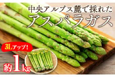 アスパラガス　約1kg　３L以上　[№5675-1443]