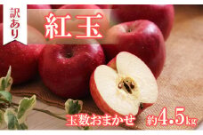 【訳あり】紅玉　約4.5kg　玉数おまかせ　[№5675-1442]