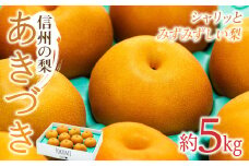 【2025年/令和7年発送分 】梨 長野 あきづき 約5kg 信州の梨 シャリッとみずみずしい梨です フルーツ 果物 デザート なし ナシ あきづき アキヅキ 産地直送 長野県 信州産 　[№5675-1453]