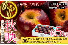 【2025年/令和7年度発送分 】訳あり 信州のりんご 秋映 約 5kg りんご リンゴ 林檎 長野 フルーツ 果物 信州産 長野県産 特産 産地直送 おすすめ 　[№5675-1455]