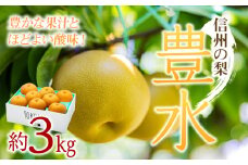 【2025年/令和7年発送分 】梨 長野 豊水 約 3kg 信州の梨 水分たっぷりジューシーな梨です フルーツ 果物 デザート なし ナシ ほうすい ホウスイ 産地直送 長野県 信州産 　[№5675-1457]