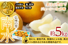 【2025年/令和7年度発送分 】 訳あり 梨 長野 南水 約 5kg 信州の梨 フルーツ 果物 デザート おやつ なし ナシ なんすい ナンスイ 産地直送 長野県 長野県産 信州産 長野県箕輪町 　[№5675-1459]