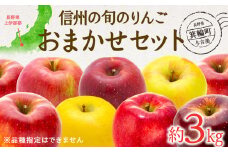 【2025年/令和7年度発送分 】信州の旬のりんごおまかせ約3kgセット りんご リンゴ 林檎 長野 フルーツ 果物 信州産 長野県産 特産 産地直送 おすすめ 　[№5675-1460]