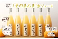 飲む梨!! 信州産　高級南水梨100%そのまんまジュース6本入　高い糖度の南水梨を使用!　[№5675-1464]
