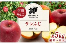 信州りんご サンフジ 約5kg　[№5675-1465]