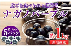 皮ごと食べられる黒葡萄 ナガノパープル 粒パック 約1kg　[№5675-1466]