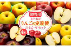 【定期便】贈答用上伊那産りんごの定期便4回おまかせセット　[№5675-1471]