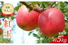 先行予約 りんご 紅玉 約5kg 家庭用 2025年 令和7年発送 完熟りんご・外観は不揃いだけど美味しいよ 果物 くだもの フルーツ 林檎 リンゴ 旬の果物 旬のフルーツ 信州 長野 長野県[№5675-1476]