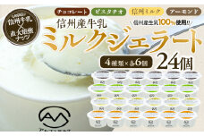 ジェラート ミルクジェラート セット 詰め合わせ 24個 4種 各6個 信州産牛乳 信州 アイス スイーツ ひんやりスイーツ おやつ デザート 食後 ピスタチオ アーモンド チョコレート 箕輪町　[№5675-1487]