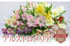 アルストロメリア花束　[№5675-1495]